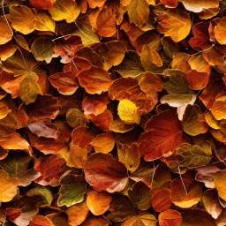 Fallen Autumn Leaves in Red, Yellow Colors free seamless pattern
