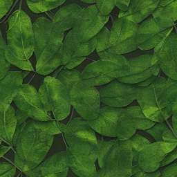 Fallen Deep Green Leaves free seamless pattern