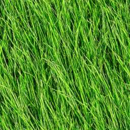 Green Grass free seamless pattern